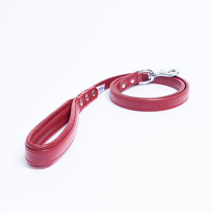 Alpine Dog Leash - Experience Unrivaled Comfort and Style