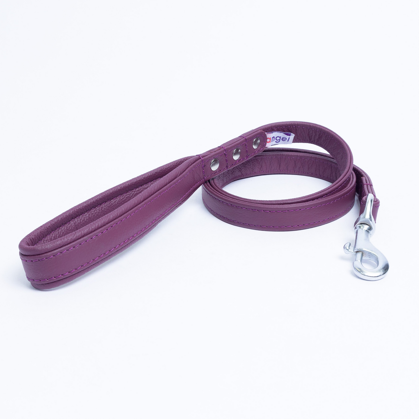 Alpine Dog Leash - Experience Unrivaled Comfort and Style