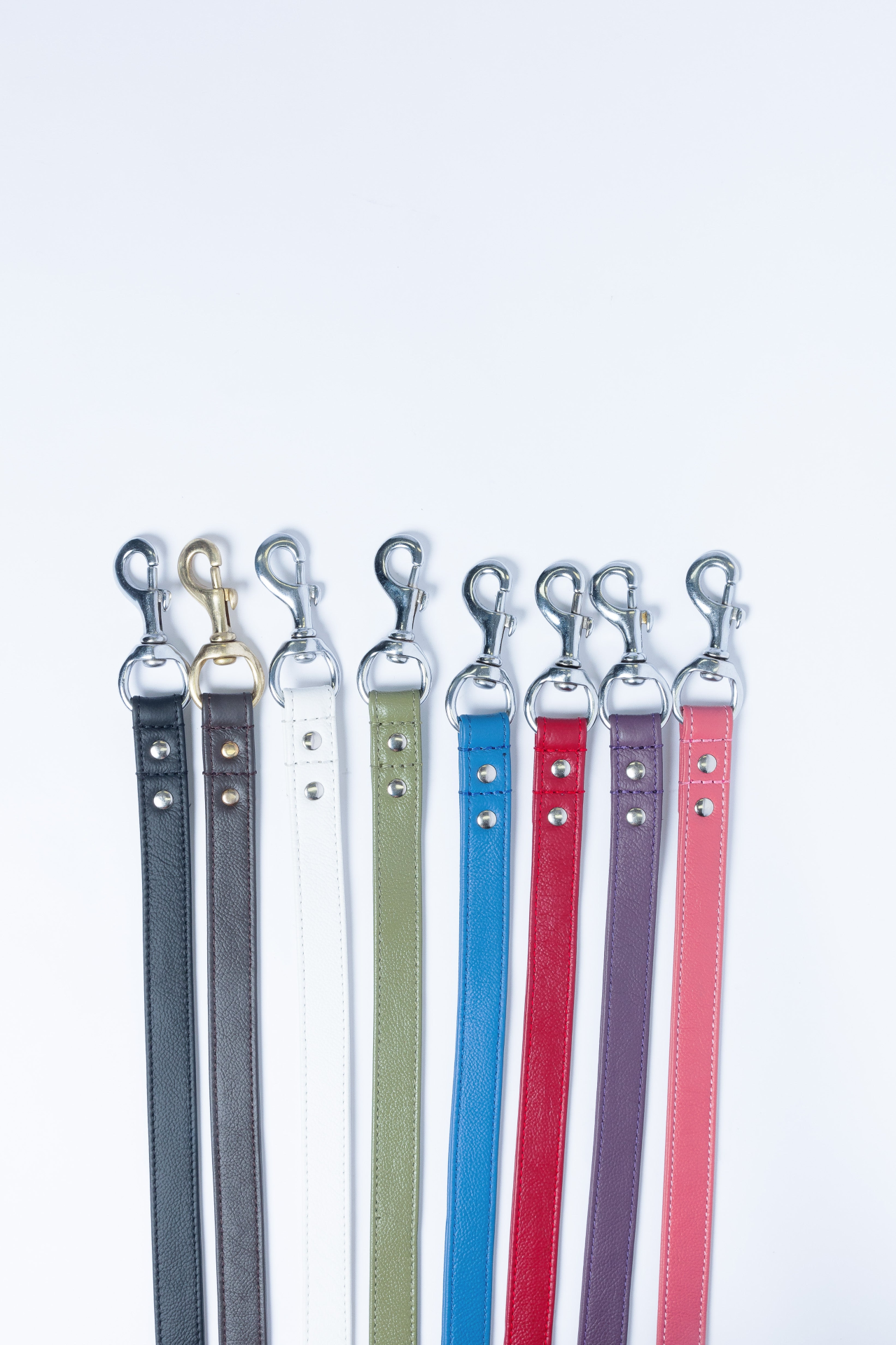 Alpine Dog Leash - Experience Unrivaled Comfort and Style