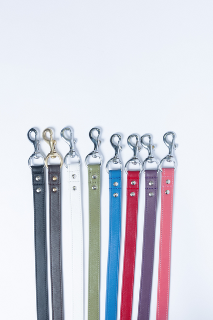 Alpine Dog Leash - Experience Unrivaled Comfort and Style