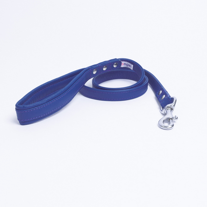 Alpine Dog Leash - Experience Unrivaled Comfort and Style