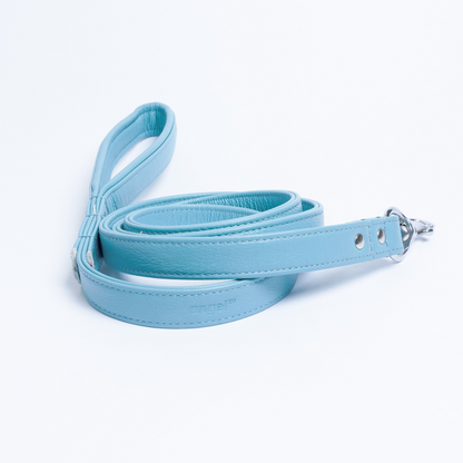 Alpine Dog Leash - Experience Unrivaled Comfort and Style