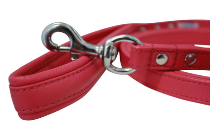 Alpine Dog Leash - Experience Unrivaled Comfort and Style