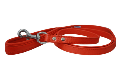 Alpine Dog Leash - Experience Unrivaled Comfort and Style