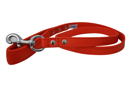 Alpine Dog Leash - Experience Unrivaled Comfort and Style