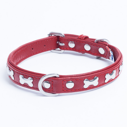 Rotterdam Bones Dog Collar: Timeless Style for Your Furry Companion