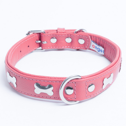 Rotterdam Bones Dog Collar: Timeless Style for Your Furry Companion