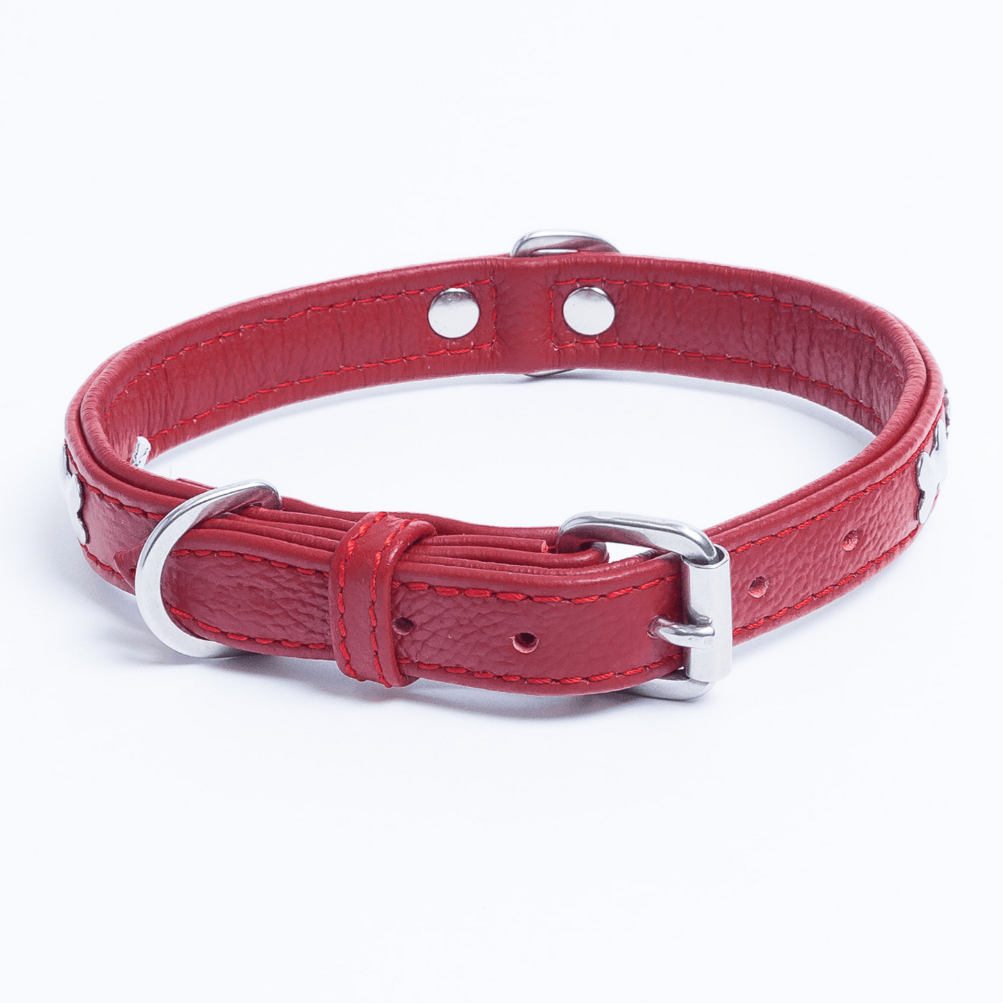 Rotterdam Bones Dog Collar: Timeless Style for Your Furry Companion