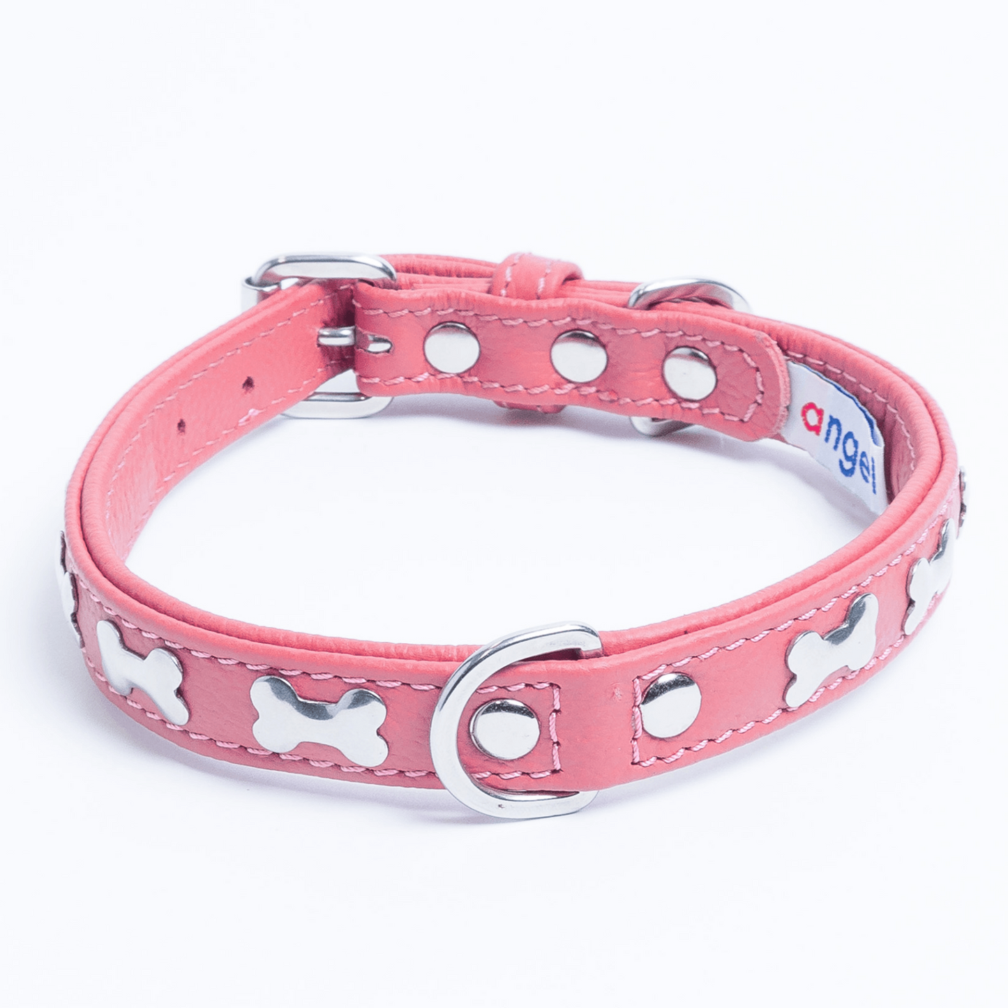 Rotterdam Bones Dog Collar: Timeless Style for Your Furry Companion