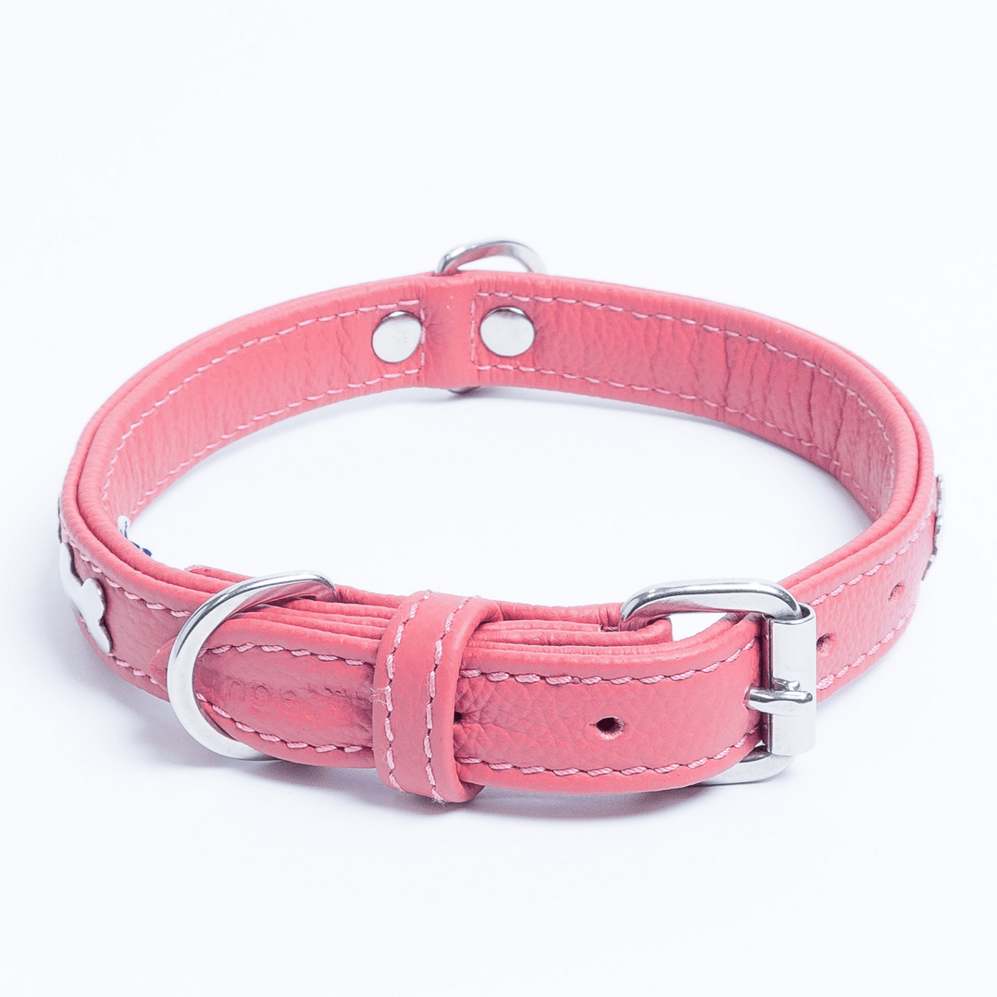 Rotterdam Bones Dog Collar: Timeless Style for Your Furry Companion