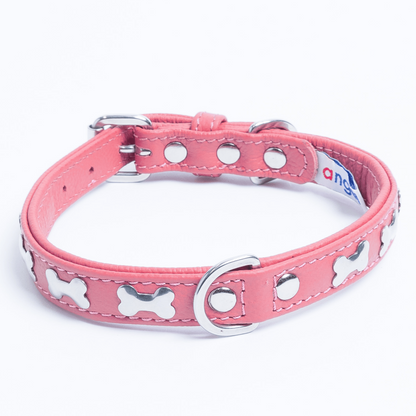 Rotterdam Bones Dog Collar: Timeless Style for Your Furry Companion