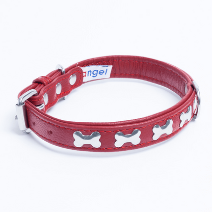 Rotterdam Bones Dog Collar: Timeless Style for Your Furry Companion