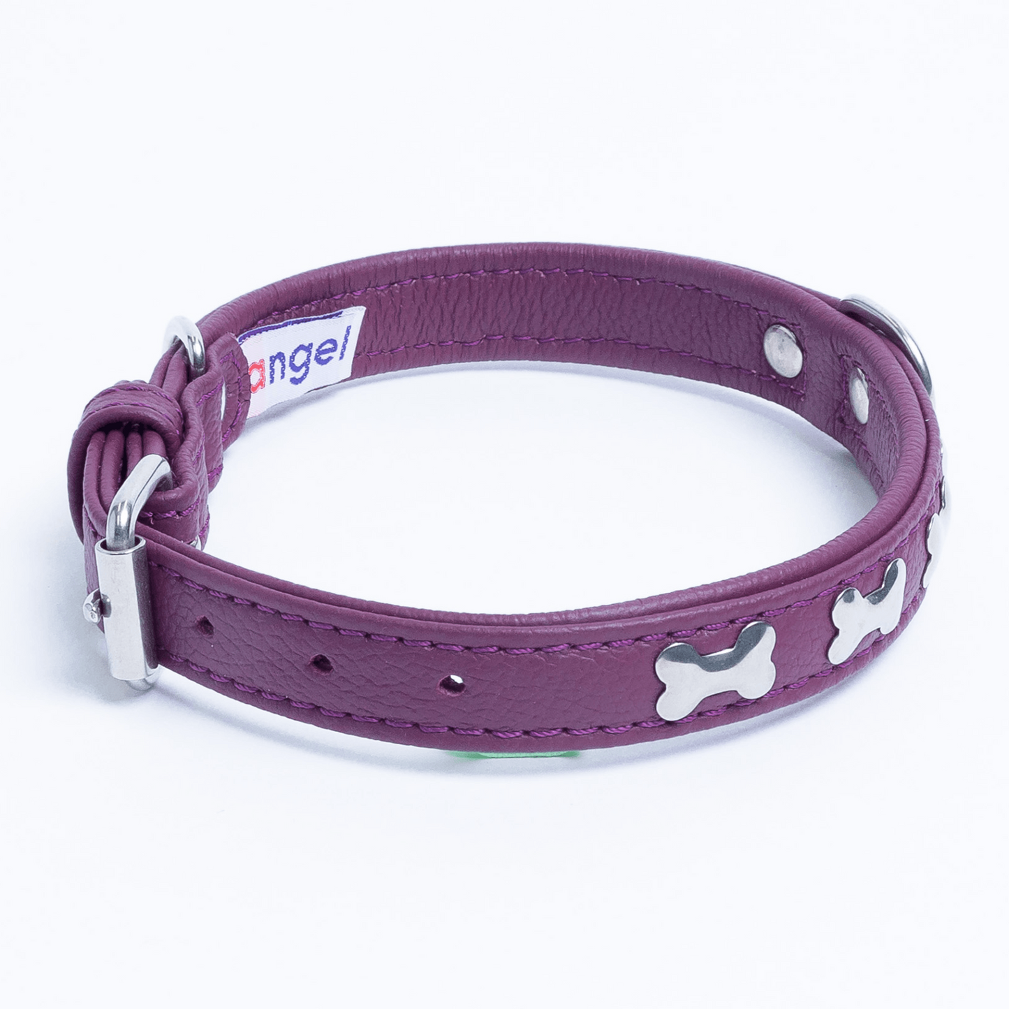 Rotterdam Bones Dog Collar: Timeless Style for Your Furry Companion