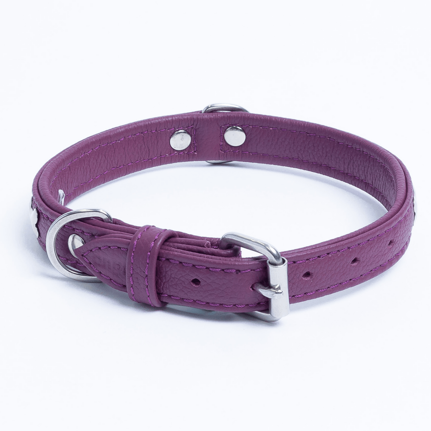 Rotterdam Bones Dog Collar: Timeless Style for Your Furry Companion