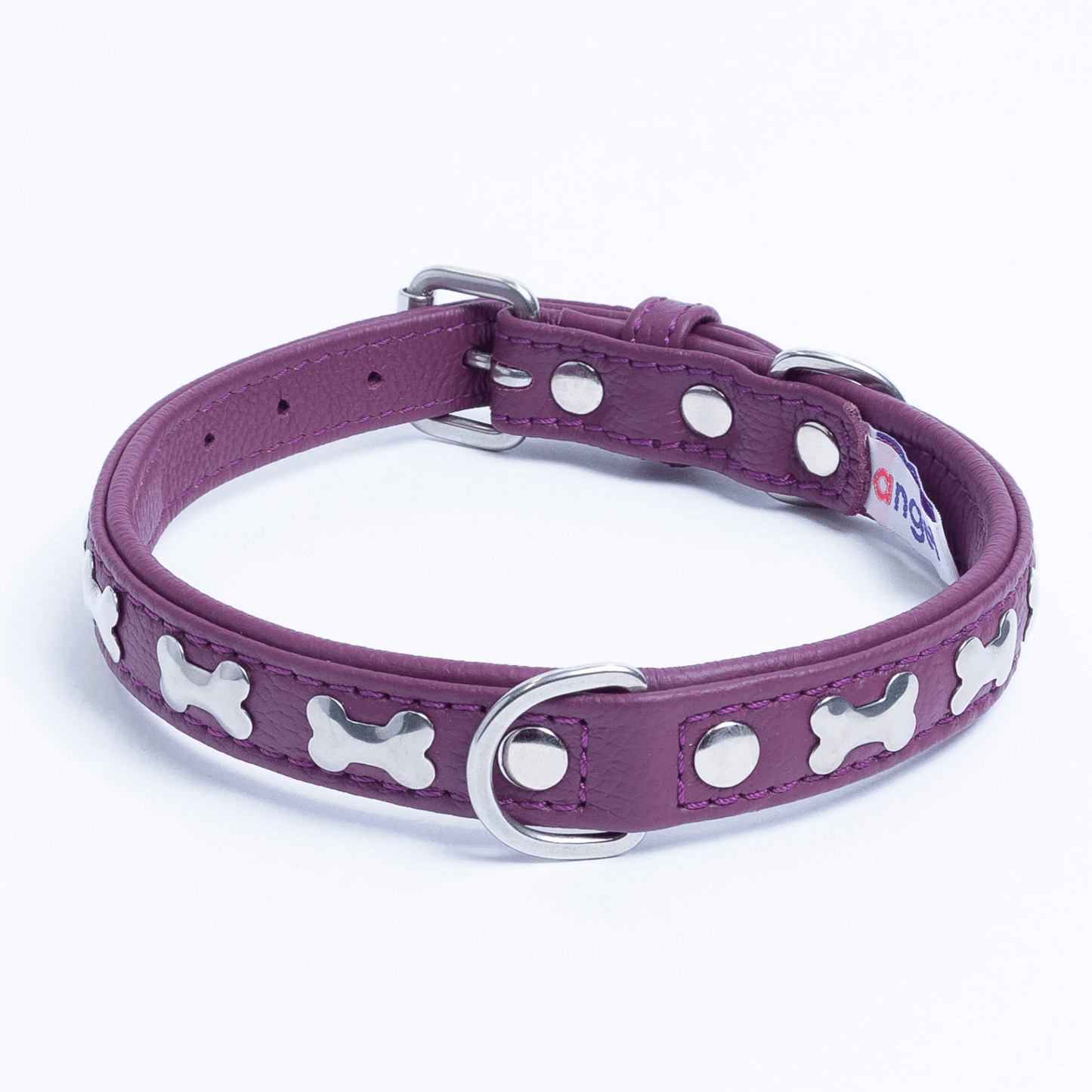 Rotterdam Bones Dog Collar: Timeless Style for Your Furry Companion