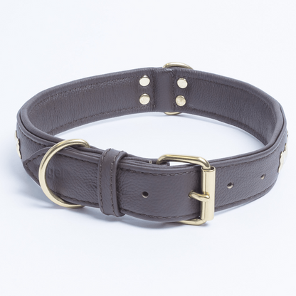 Rotterdam Bones Dog Collar: Timeless Style for Your Furry Companion