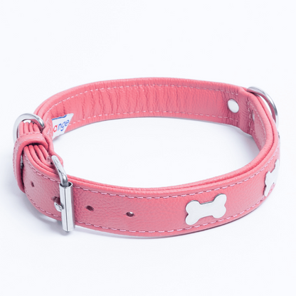 Rotterdam Bones Dog Collar: Timeless Style for Your Furry Companion