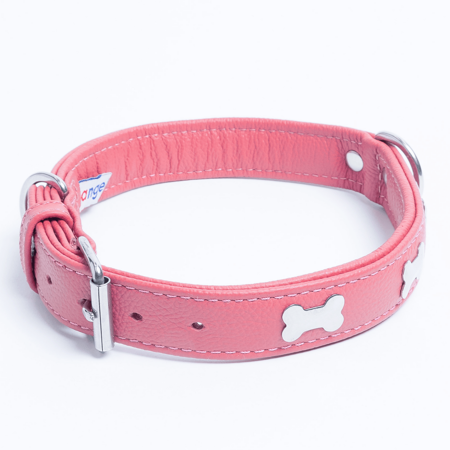 Rotterdam Bones Dog Collar: Timeless Style for Your Furry Companion