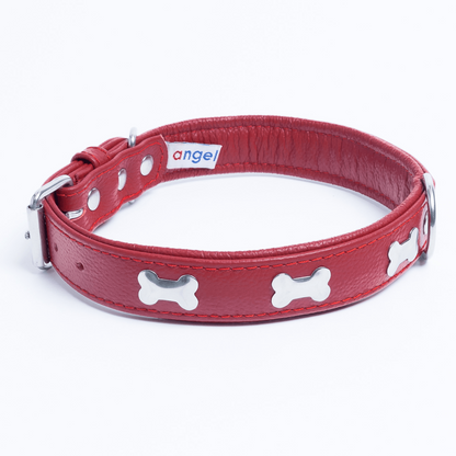 Rotterdam Bones Dog Collar: Timeless Style for Your Furry Companion