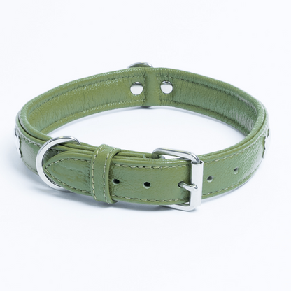 Rotterdam Bones Dog Collar: Timeless Style for Your Furry Companion