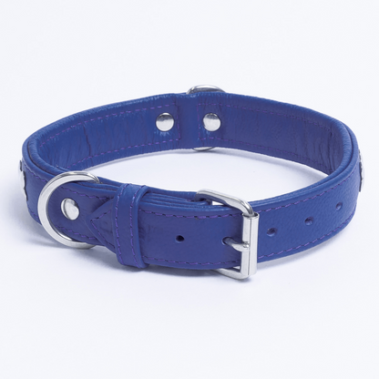 Rotterdam Bones Dog Collar: Timeless Style for Your Furry Companion