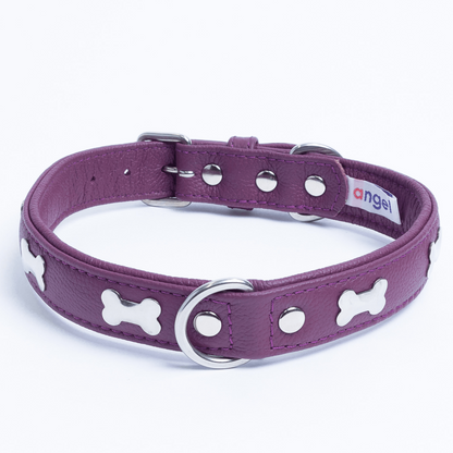 Rotterdam Bones Dog Collar: Timeless Style for Your Furry Companion