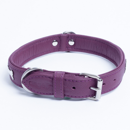 Rotterdam Bones Dog Collar: Timeless Style for Your Furry Companion