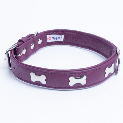 Rotterdam Bones Dog Collar: Timeless Style for Your Furry Companion