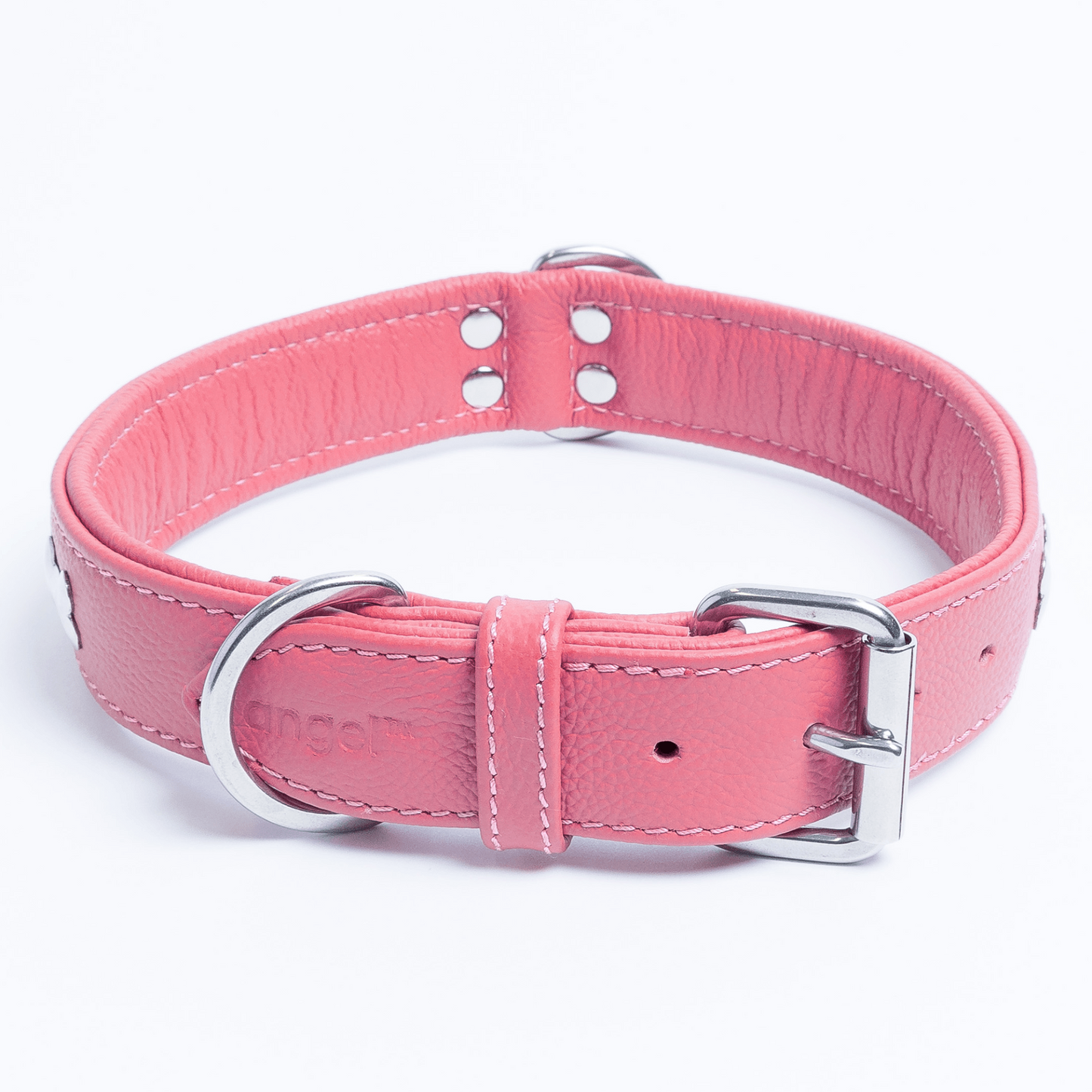 Rotterdam Bones Dog Collar: Timeless Style for Your Furry Companion