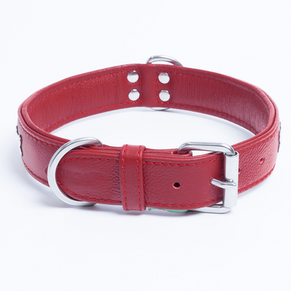 Rotterdam Bones Dog Collar: Timeless Style for Your Furry Companion