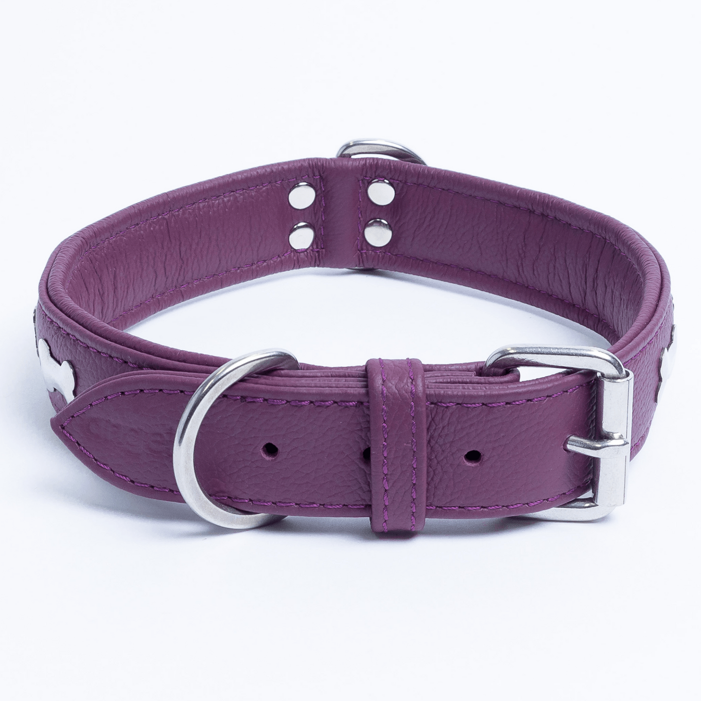 Rotterdam Bones Dog Collar: Timeless Style for Your Furry Companion