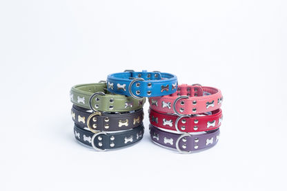 Rotterdam Bones Dog Collar: Timeless Style for Your Furry Companion