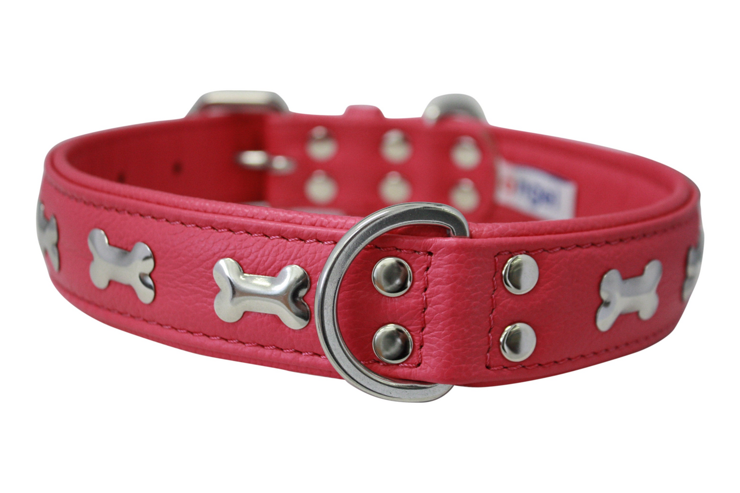 Rotterdam Bones Dog Collar: Timeless Style for Your Furry Companion