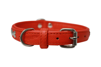 Rotterdam Bones Dog Collar: Timeless Style for Your Furry Companion