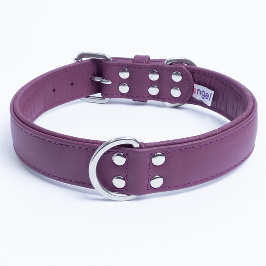 Alpine Dog Collar: A Touch of Luxury and Versatility