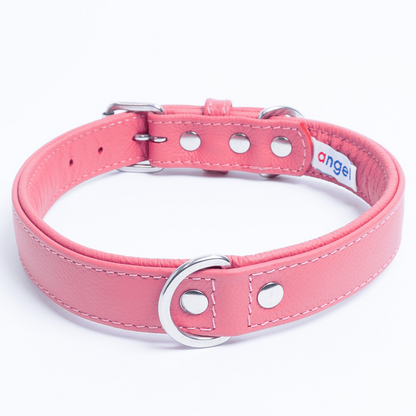 Alpine Dog Collar: A Touch of Luxury and Versatility