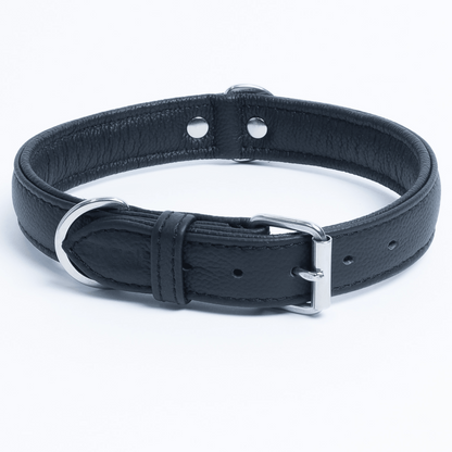 Alpine Dog Collar: A Touch of Luxury and Versatility