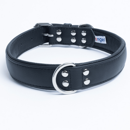 Alpine Dog Collar: A Touch of Luxury and Versatility