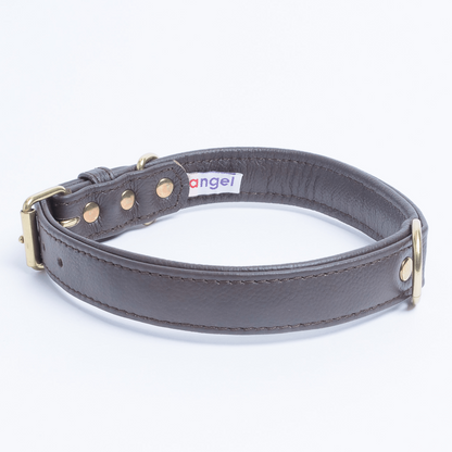 Collar alpino