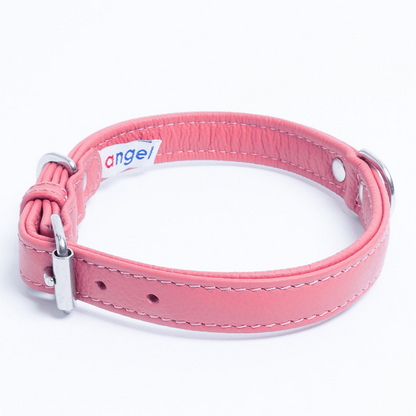 Alpine Dog Collar: A Touch of Luxury and Versatility