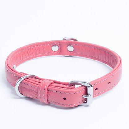 Alpine Dog Collar: A Touch of Luxury and Versatility