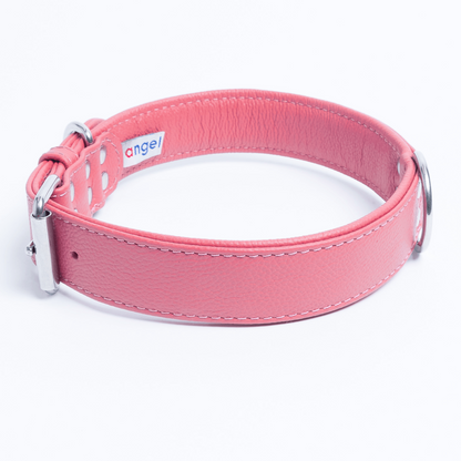 Alpine Dog Collar: A Touch of Luxury and Versatility