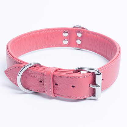 Alpine Dog Collar: A Touch of Luxury and Versatility