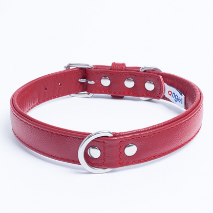 Alpine Dog Collar: A Touch of Luxury and Versatility