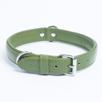 Alpine Dog Collar: A Touch of Luxury and Versatility