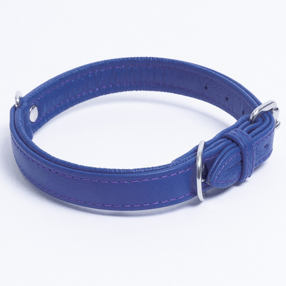 Alpine Dog Collar: A Touch of Luxury and Versatility