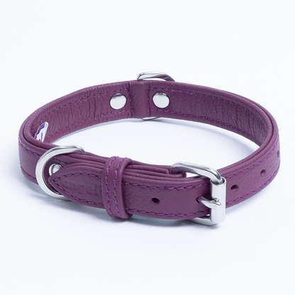 Alpine Dog Collar: A Touch of Luxury and Versatility