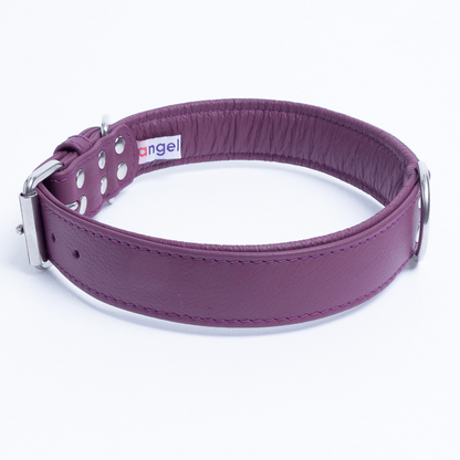 Alpine Dog Collar: A Touch of Luxury and Versatility