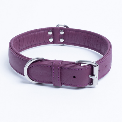 Alpine Dog Collar: A Touch of Luxury and Versatility