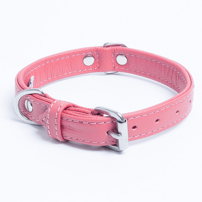 Rotterdam Hearts Dog Collar: Make a Statement with Style and Love